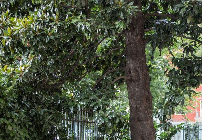 Ferienwohnung in Milano - Appartamento di Design con giardino Ferienwohnung in Milano - Appartamento di Design con giardino