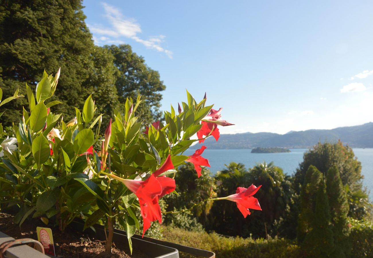 Villa in Verbania - Villa Cicala Villa in Verbania - Villa Cicala