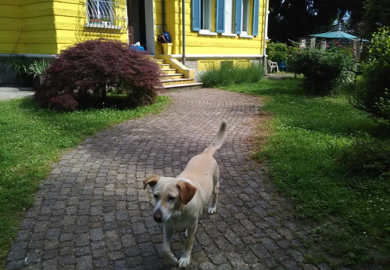 Studio à Stresa - Casa Yin e Yang in belle epoque Villa Studio à Stresa - Casa Yin e Yang in belle epoque Villa