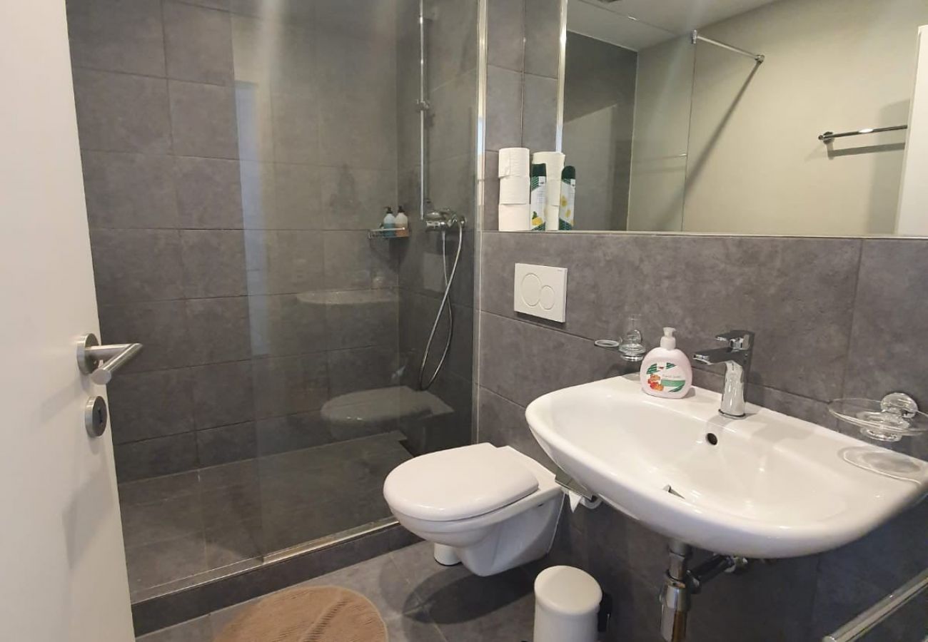 Appartement à Brissago - Appartamento Fidanza 4 in Brissago Center Appartement à Brissago - Appartamento Fidanza 4 in Brissago Center