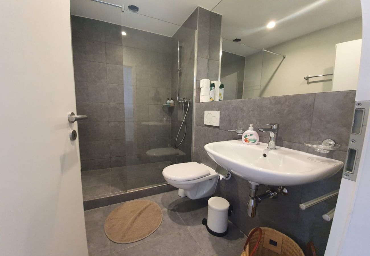 Appartement à Brissago - Appartamento Fidanza 4 in Brissago Center Appartement à Brissago - Appartamento Fidanza 4 in Brissago Center