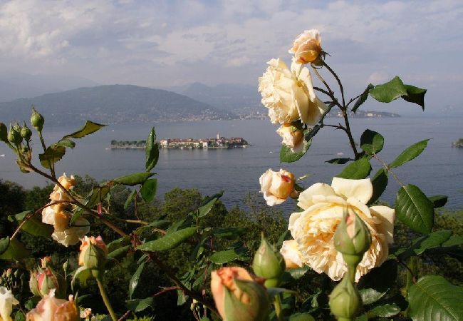 Villa a Stresa - Villa Gaia with the best view on the lake Villa a Stresa - Villa Gaia with the best view on the lake