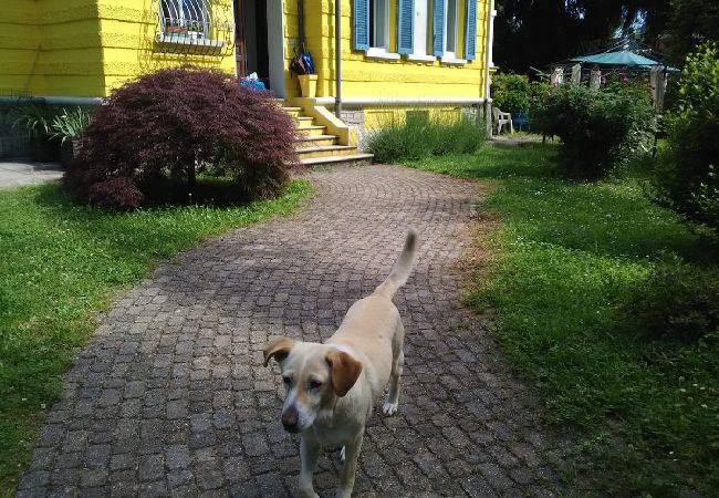 Studio in Stresa - Casa Yin e Yang in belle epoque Villa Studio in Stresa - Casa Yin e Yang in belle epoque Villa