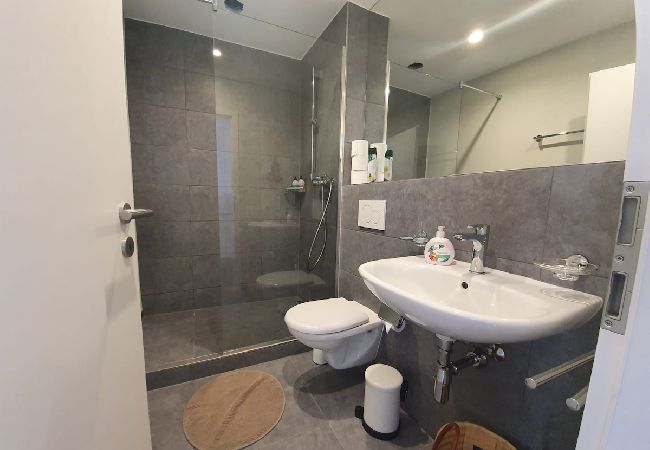 Apartment in Brissago - Appartamento Fidanza 4 in Brissago Center Apartment in Brissago - Appartamento Fidanza 4 in Brissago Center