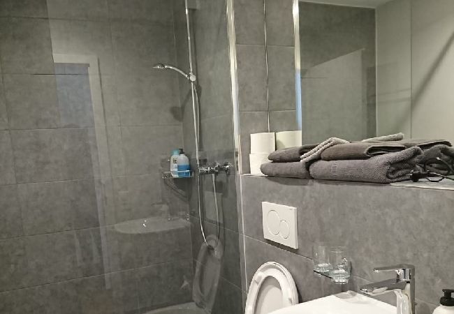 Apartment in Brissago - Fidanza 2 in center of Brissago Apartment in Brissago - Fidanza 2 in center of Brissago